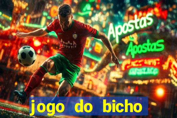 jogo do bicho crash bingo